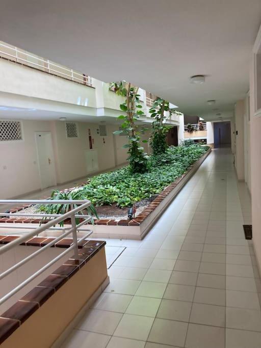Apartament Sunset Aliss Puerto de Santiago  Eksteriør bilde