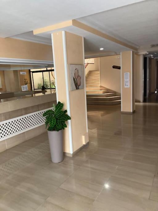 Apartament Sunset Aliss Puerto de Santiago  Eksteriør bilde